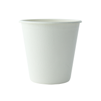 White sugarcane fibre cup